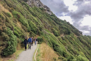 Lo más destacado de la Isla Sur: aventura de 9 días en Nueva Zelanda