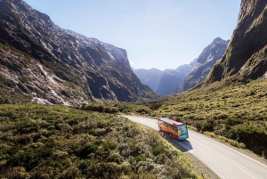 Te Anau: Milford Sound Bus, Cruise, Observatory, & Lunch