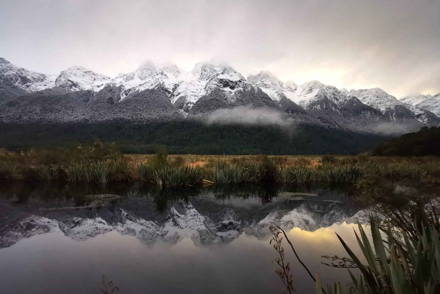 Te Anau – Queenstown, mukaan lukien Milford Sound -kierros, risteily ja lounas