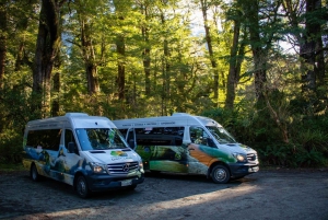 Te Anau to Queenstown inc Milford Sound Tour, Cruise & Lunch