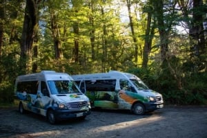 Te Anau to Queenstown inc Milford Sound Tour, Cruise & Lunch