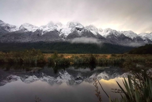 Te Anau – Queenstown, mukaan lukien Milford Sound -kierros, risteily ja lounas