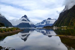 Te Anau – Queenstown, mukaan lukien Milford Sound -kierros, risteily ja lounas