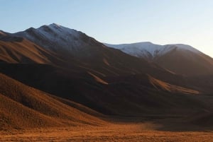 Tekapo til Queenstown via Mt Cook tur i lille gruppe (én vej)