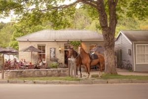 Best Queenstown Pubs