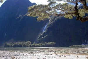 Wanaka: Milford Sound Scenic Helicopter Flight