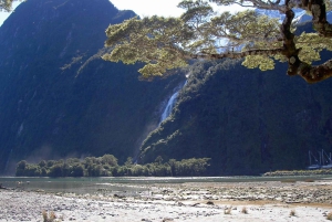 Wanaka: Helikoptertur i Milford Sound