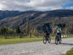 Whizzy E-Bike Adventures