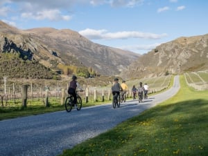 Whizzy E-Bike Adventures