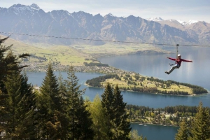 Ziptrek Ecotours