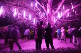 LUMA Enchanted