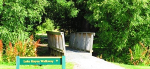 Lake Hayes Walk