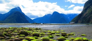 Milford Sound
