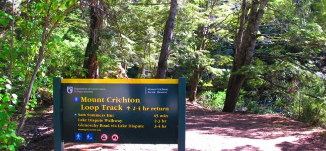 Mt Crichton Walk