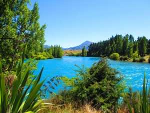 Clutha River, Albert Town 