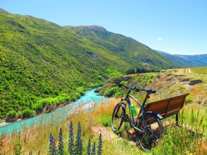 Gibbston River Trail