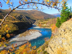 Gibbston River Trail