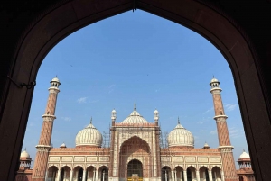 From New Delhi: Golden Triangle 3D/2N Private Tour