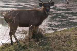 Das Goldene Dreieck neu erfunden: Ethischer Luxus bei jedem Schritt