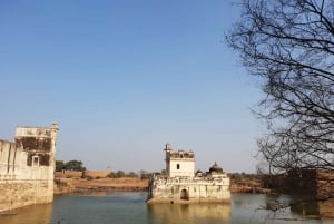 11-dagar Jaipur, Udaipur, Jodhpur, Jaisalmer, Bikaner, Pushkar
