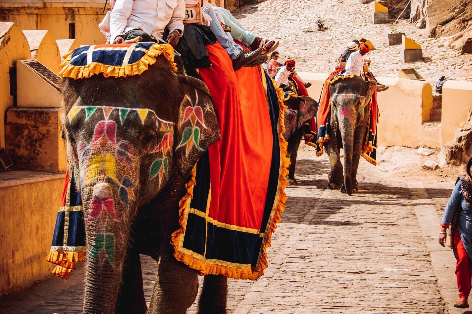 11-dagars rundtur i Rajasthan: Jaipur, Udaipur och mer