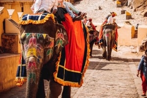 11-dagars rundtur i Rajasthan: Jaipur, Udaipur och mer