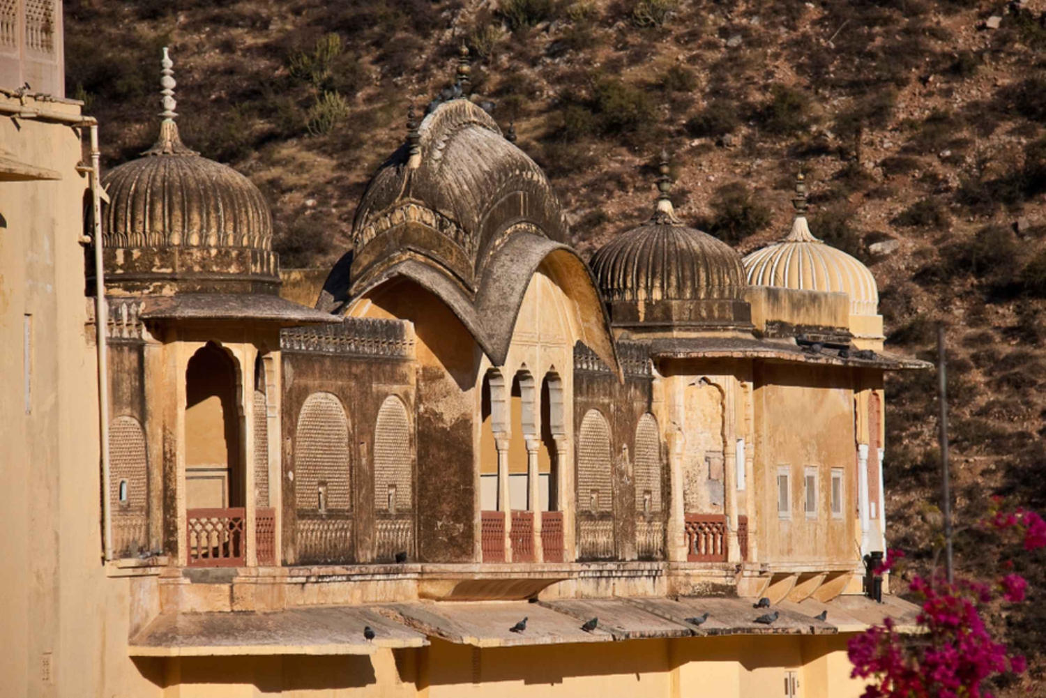 2-Day Jaipur Heritage Tour with Samode Palace & Village
