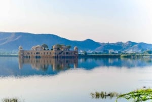 2-Day Jaipur Tour from Delhi: Palaces, Forts & Culture