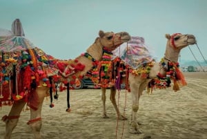 Två dagars Pushkar-mässa från Jaipur