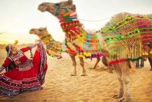 Två dagars Pushkar-mässa från Jaipur