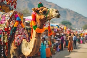 Två dagars Pushkar-mässa från Jaipur