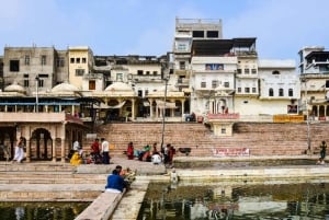 Två dagars Pushkar-mässa från Jaipur