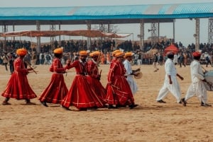 Två dagars Pushkar-mässa från Jaipur