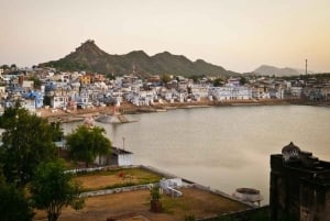 Två dagars Pushkar-mässa från Jaipur