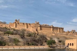 5Night 6Day Private Golden Triangle Tour With Jhalana Safari