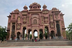 5Night 6Day Private Golden Triangle Tour With Jhalana Safari