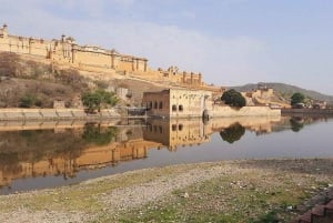 5Night 6Day Private Golden Triangle Tour With Jhalana Safari