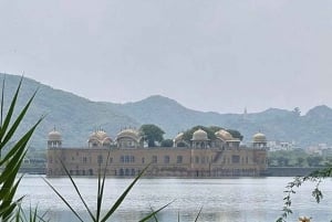 5Night 6Day Private Golden Triangle Tour With Jhalana Safari