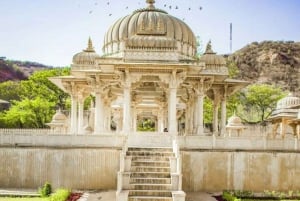 2 Days pink city jaipur sightseeing tour by tuk tuk