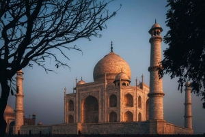 7 Days Private Golden Triangle Tour With Holi Festival 2026