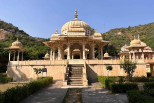 7 Days Private Golden Triangle Tour With Holi Festival 2026