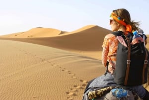 Pushkar: Kamelen Zonsondergang Safari Avontuur