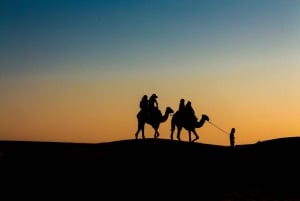 2 ore di safari a dorso di cammello al tramonto a Pushkar