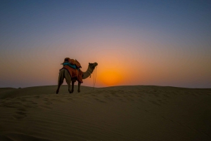 2 noites e 3 dias de tour em Jaisalmer e safári de camelo não turístico