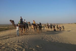 Tour serale di 2 notti e 3 giorni a Jaisalmer e safari non turistico con i cammelli