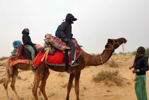 2 netter og 3 dager Jaisalmer-tur og ikke-turistisk kamelsafari