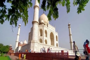 Från Delhi: Privat 3 dagars Golden Triangle Tour all inclusive