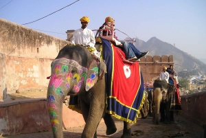 3 Dag 3 By - Delhi Agra Jaipur - Gyldent triangel