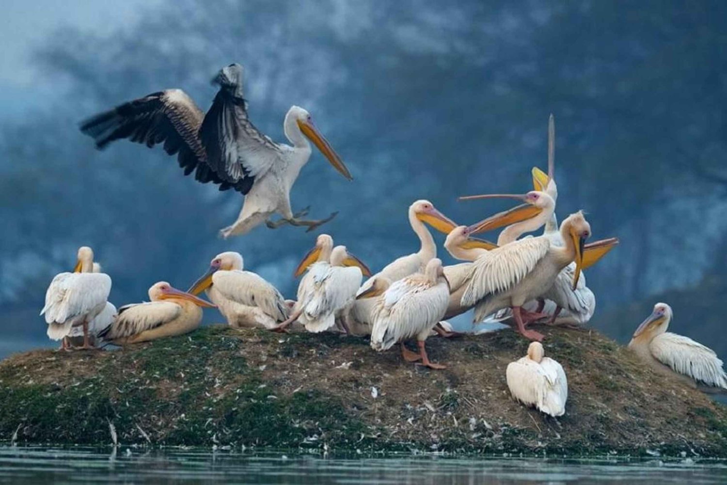3-Day Bharatpur & Sariska Wildlife Sanctuary Tour From Delhi