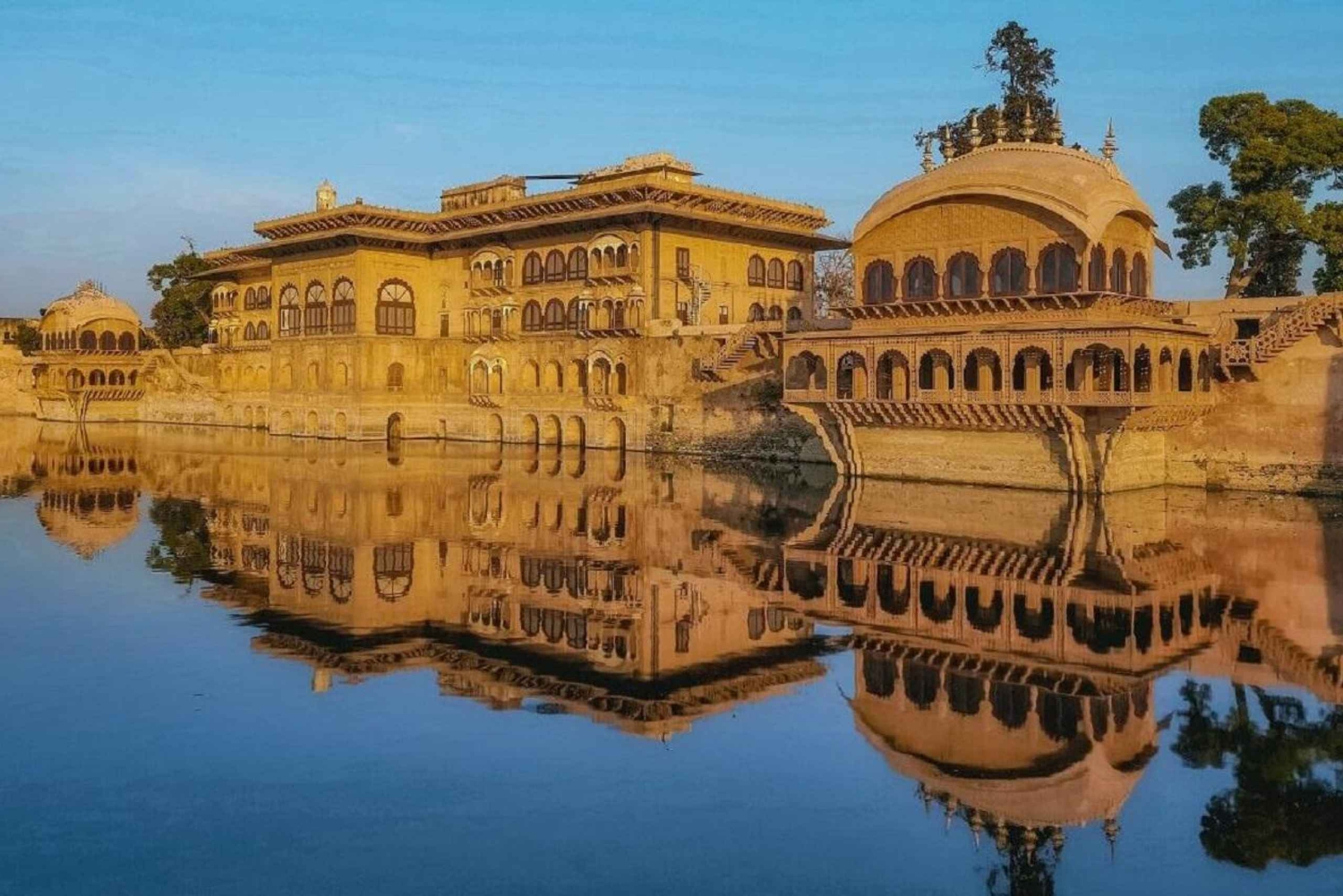 3-daagse tour naar Bharatpur en het Sariska Wildlife Sanctuary vanuit Delhi